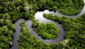 amazonia