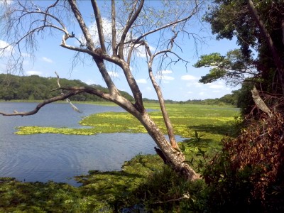 Parque-de-Barão-Geraldo