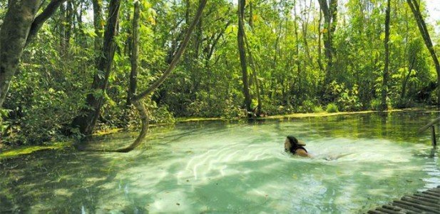 Nascente areia que canta