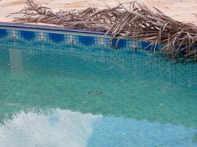 Vizinhos reclamam de imóveis fechados há vários meses; temor é a possibilidade de contrair dengue
