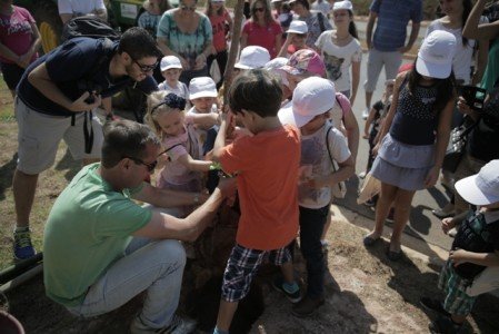 Crianças plantem mudas de ipê roxo