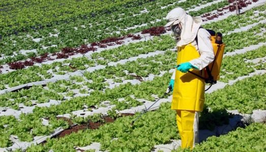 agrotoxico-inca-cancer