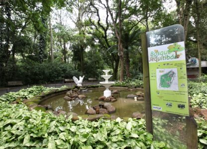 Oficinas serão realizadas no Museu de História Natural do Bosque dos Jequitibás