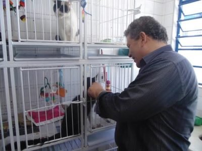 centro-recuperaçao-animais-selvagens-campinas