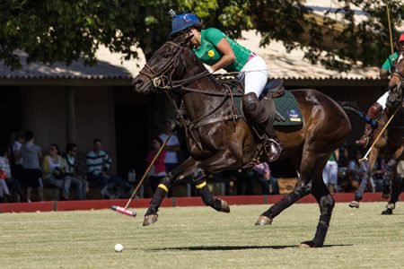 Polo feminino
