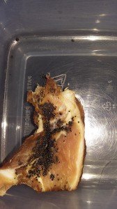 Pedaço de bacon com veneno encontrado pela moradora