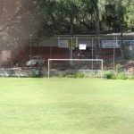Campo