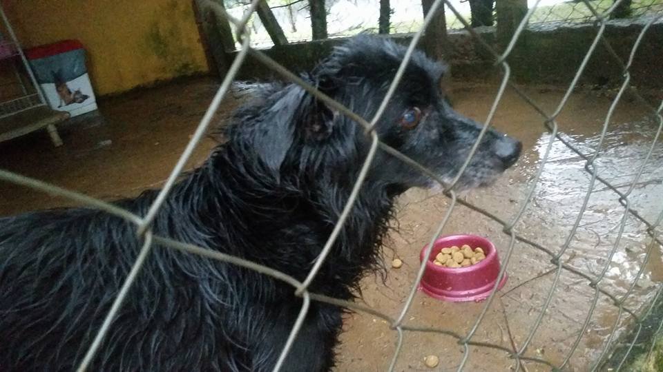 13315565_10154216129108407_2434986065855376502_n