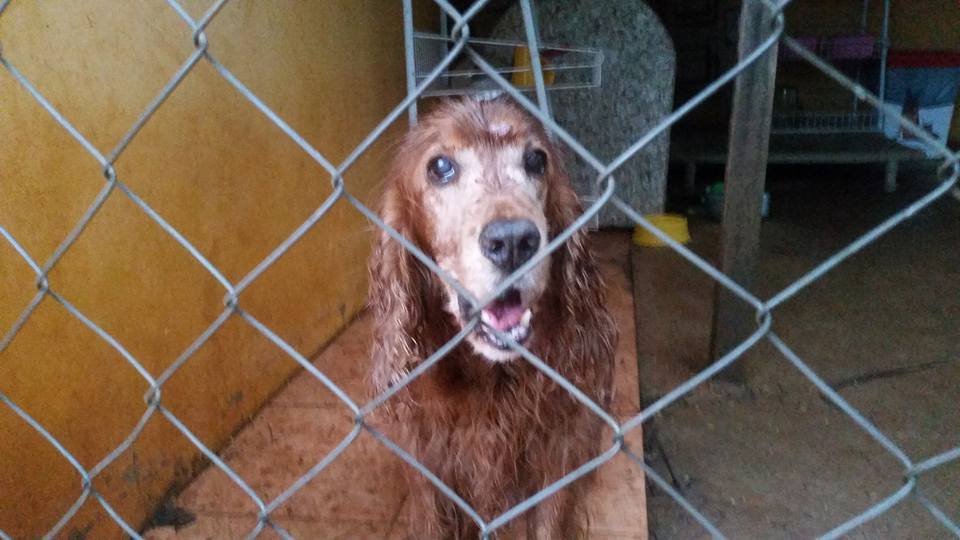 13406880_10154216129078407_7565619348525460602_n