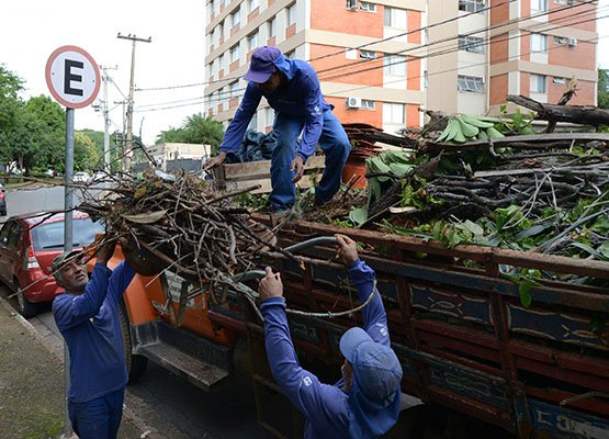 Rescaldo do temporal: removidas 660 toneladas de galharia
