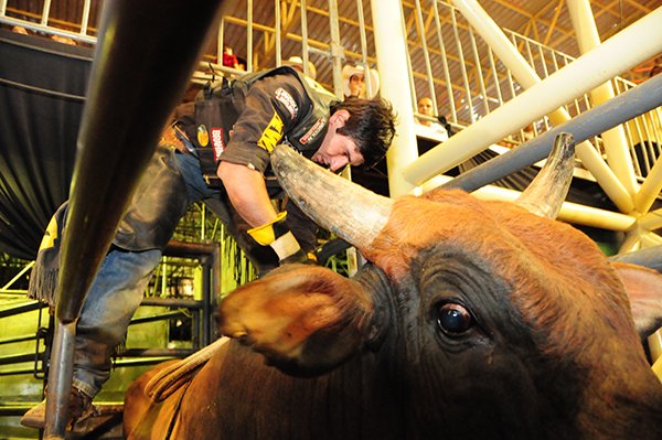 montaria-em-touro-pbr-americana-sp-festa-do-peao