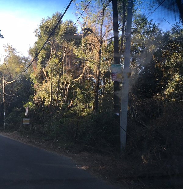 Postes de iluminação são substituídos ao longo da avenida