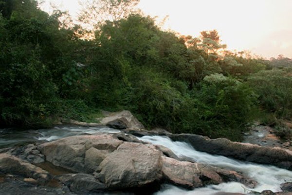 A limpeza da área ainda está sendo feita 