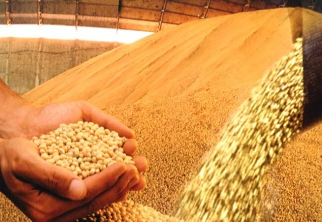 safra-agricultura-nordeste