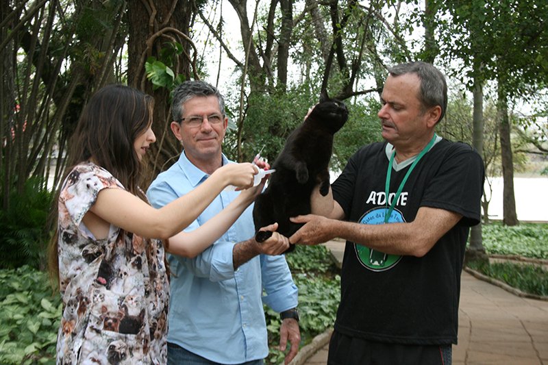 Aposentado não deixa que gatos fiquem expostos aos perigos e maus tratos