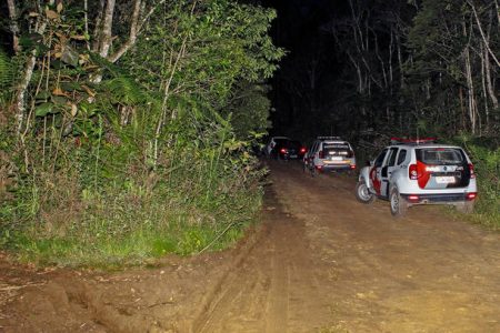 Policia encontra quatro corpos em matagal na região de Mogi das Cruzes