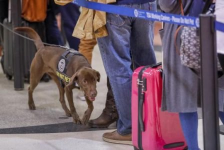Segurança é reforçada em aeroporto dos Estados Unidos