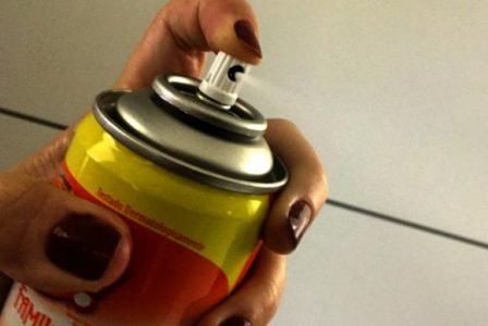 O pregão para a compra dos produtos foi feito em dezembro do ano passado e o processo de licitação está em andamento