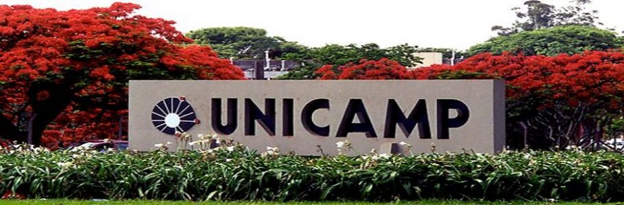 A Universidade Estadual de Campinas (Unicamp) divulga hoje (13) a lista de convocados na primeira chamada do vestibular 2017, no site.