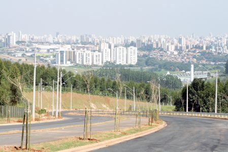 Avenida Mackenzie com 33.798 mudas de diferentes espécies, além do gramado em toda a sua extensão.
