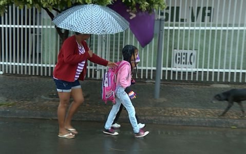 onibus-gratuito-americana