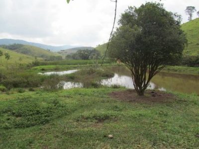 Desapropriações afetam áreas verdes e imóveis históricos