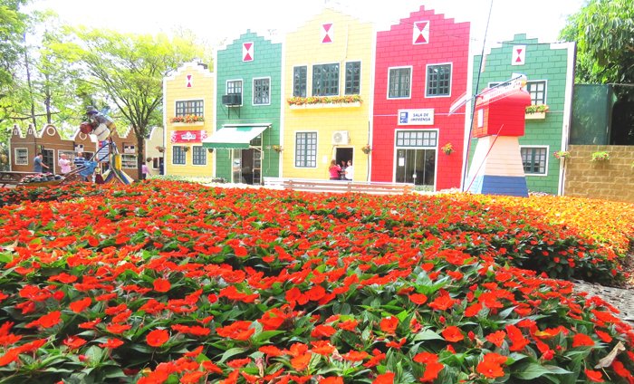 Expoflora