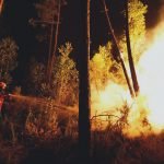 PORTUGAL DOIS