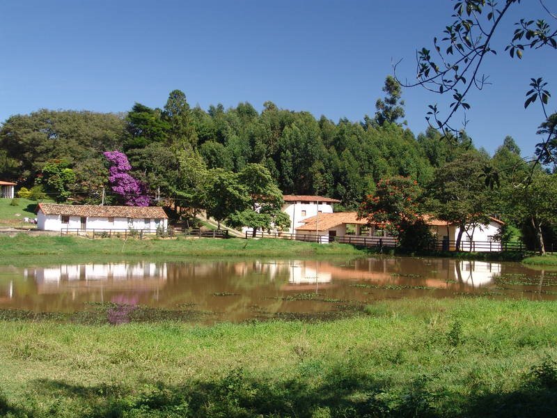 mercado imobiliário