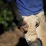 2021-03-02t103200z_1_lynxnpeh210kx_rtroptp_4_brazil-coffee-slavery