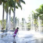 e04ee35c977a72e07f34fff6c1505773