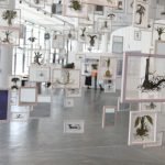 Bienal  de Arte no Ibirapuera