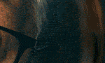 728×90 (1)