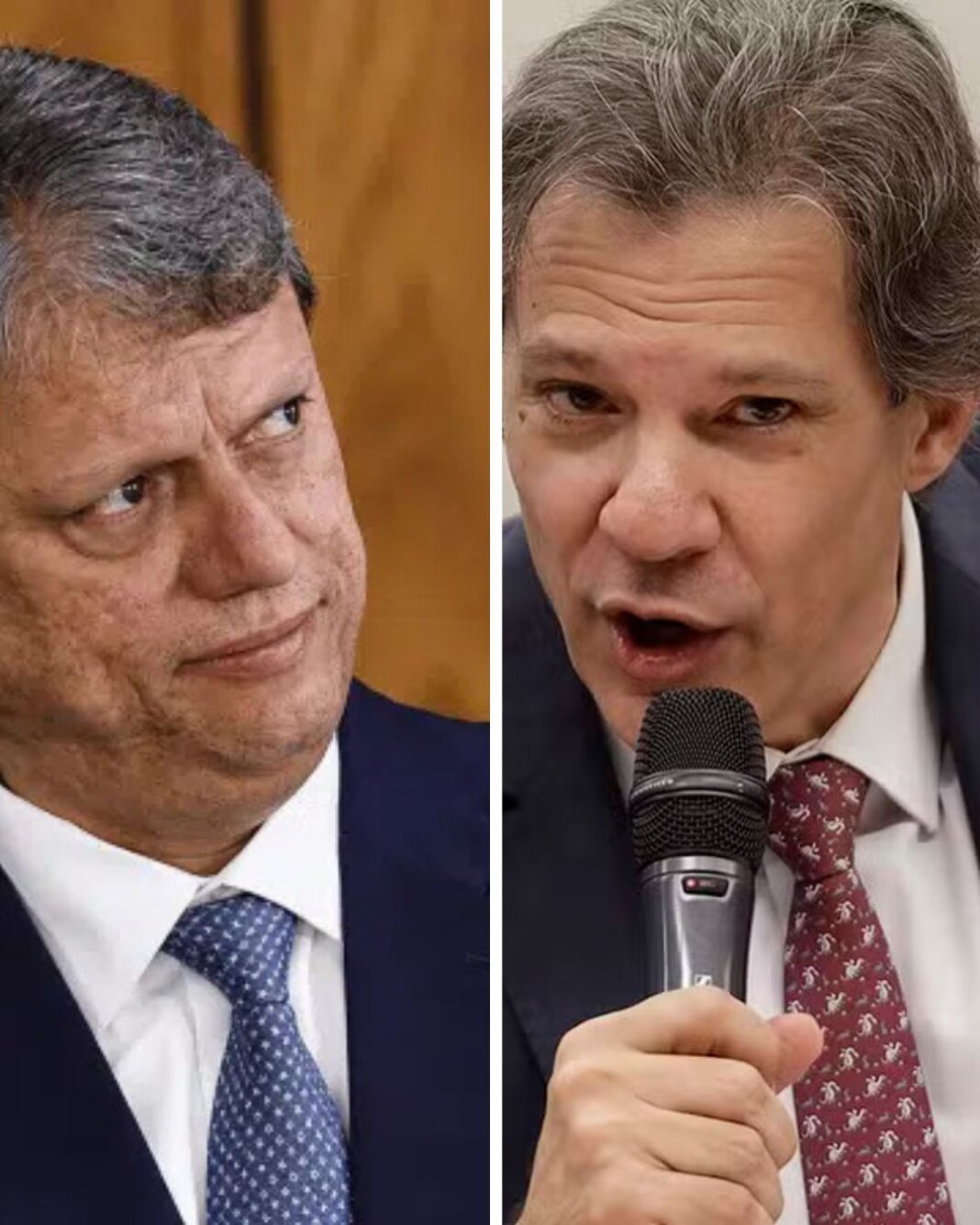 Texto do seu parágrafo (1)